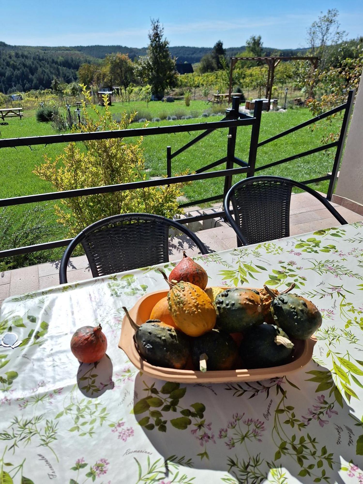 Zoeld Terasz Vendeghaz Apartment Egerszalók Екстериор снимка